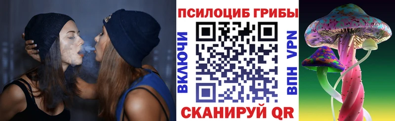 Псилоцибиновые грибы MAGIC MUSHROOMS  blacksprut маркетплейс  Полысаево 